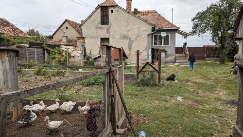 Alin's home in Romania with some of the ducks they rasie for inclome.